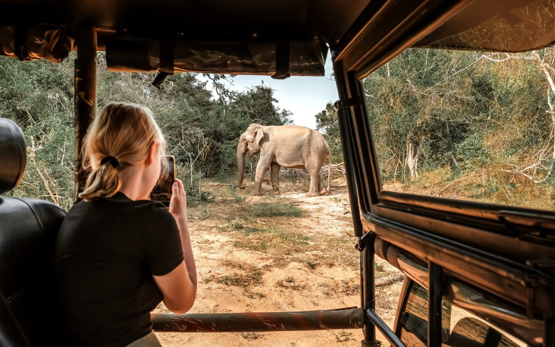 When Tourists Meet Wildlife: Setting the Ethical Compass